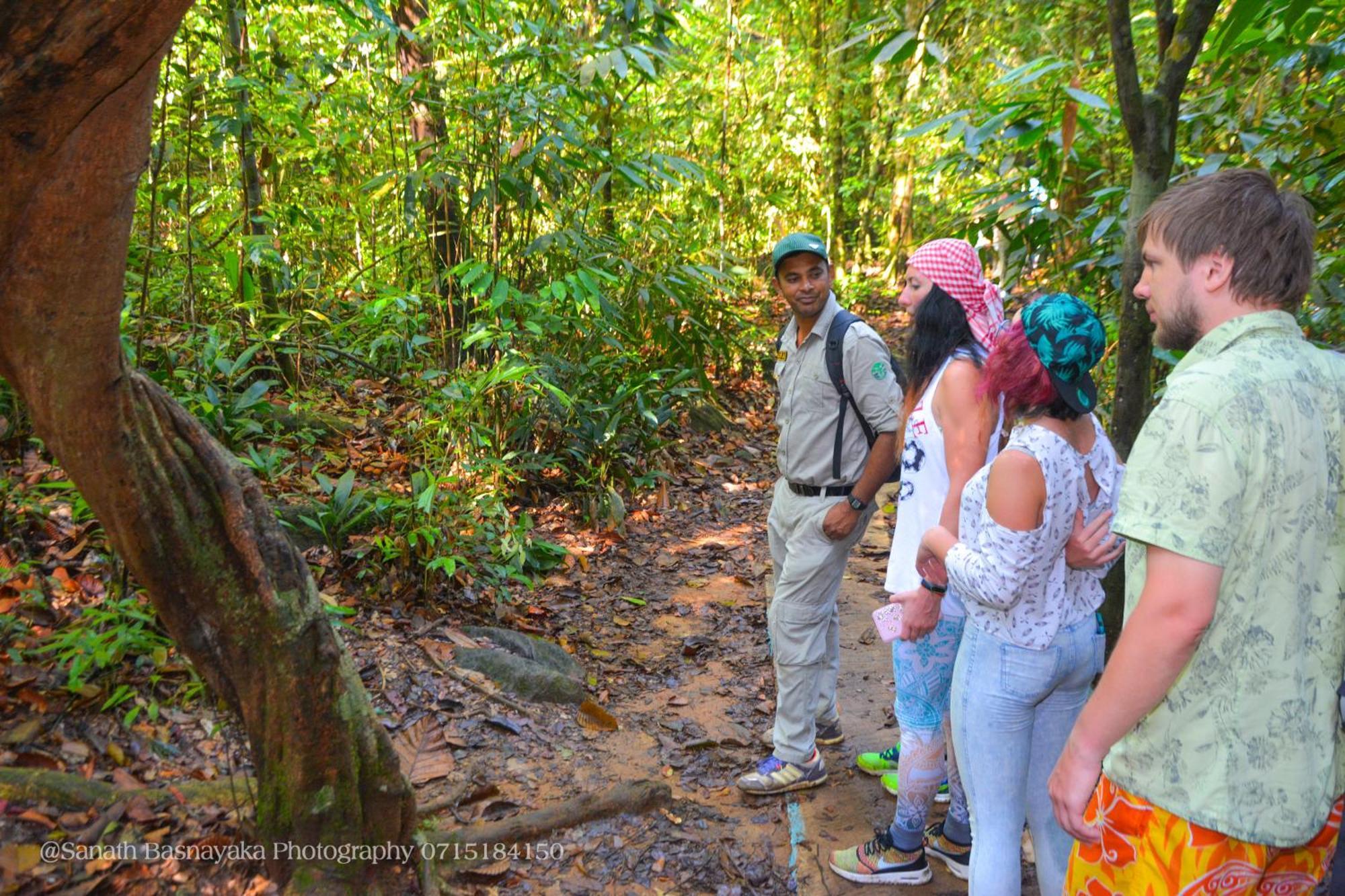 Rainforest Holiday Inn Deniyaya Buitenkant foto