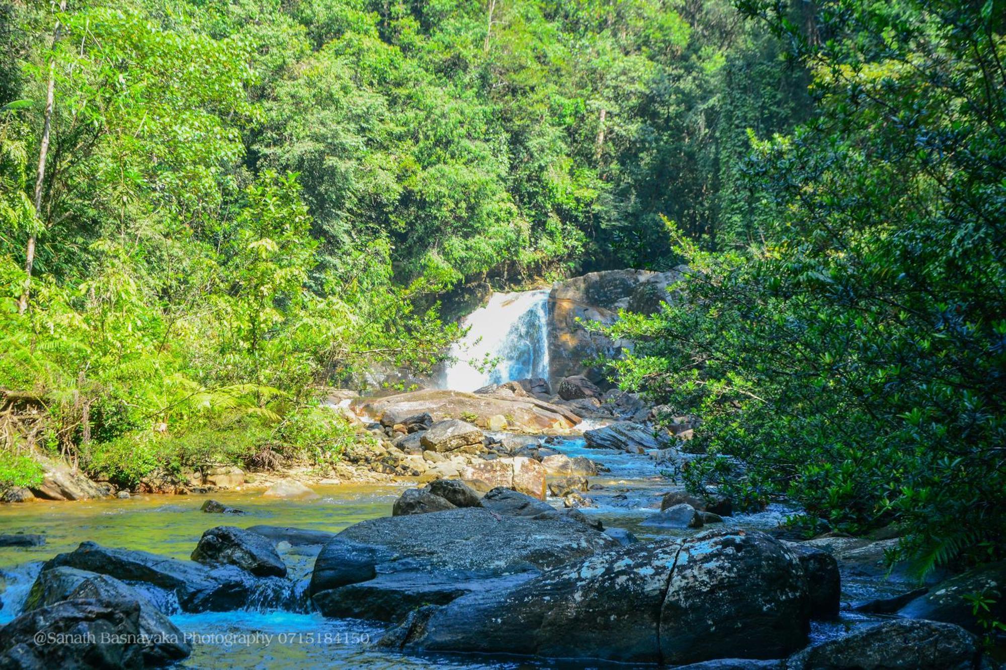 Rainforest Holiday Inn Deniyaya Buitenkant foto